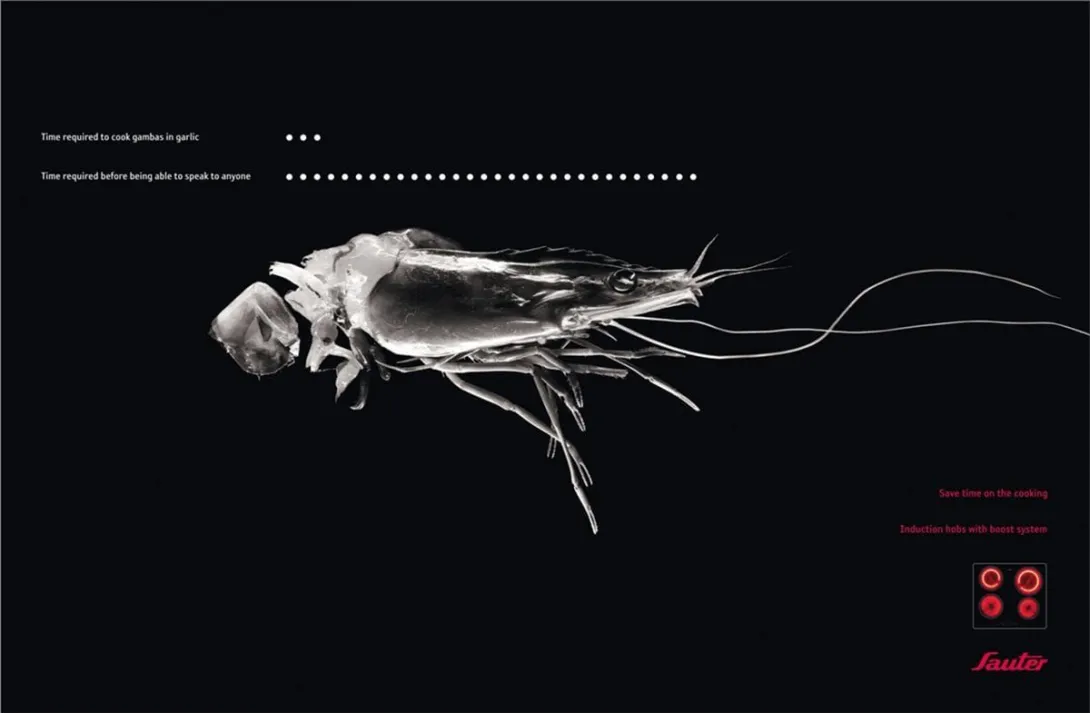 Sauter ads
