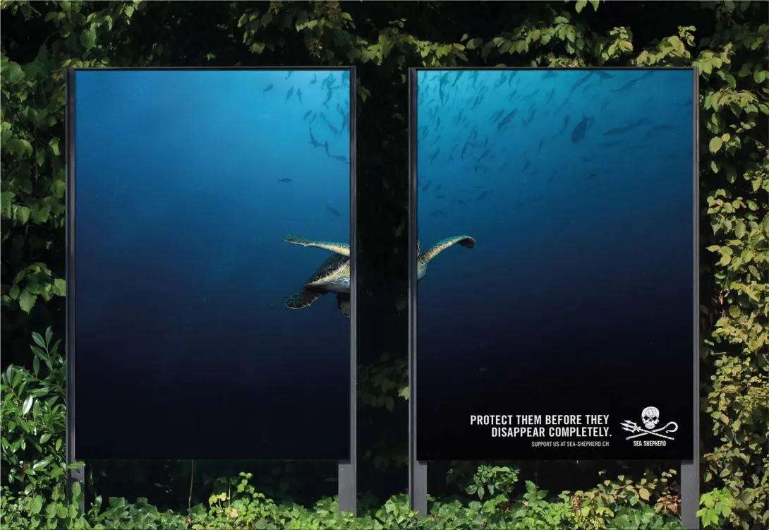 Sea Shepherd "PROTECT THEM BEFORE THEY DISAPPEAR COMPLETELY"