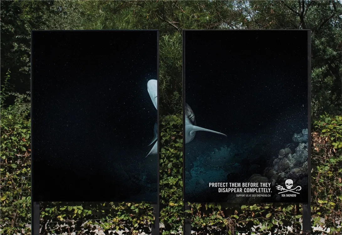 Sea Shepherd "PROTECT THEM BEFORE THEY DISAPPEAR COMPLETELY"