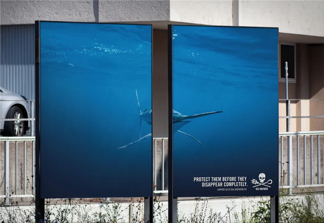 Sea Shepherd "PROTECT THEM BEFORE THEY DISAPPEAR COMPLETELY"