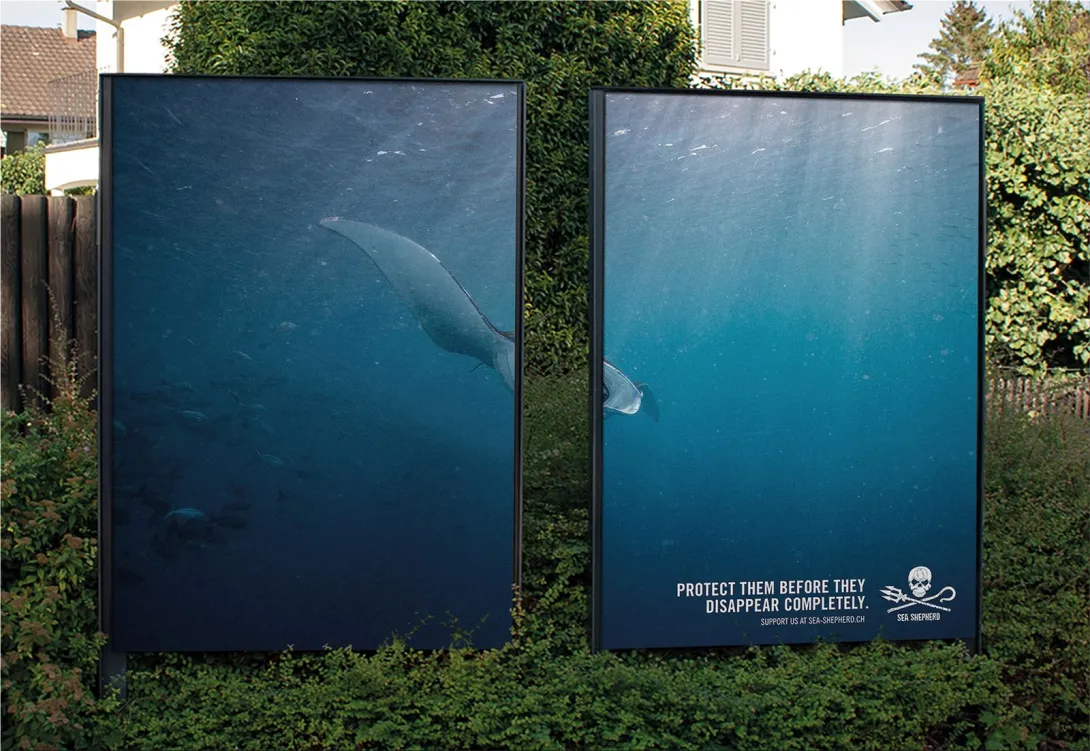 Sea Shepherd "PROTECT THEM BEFORE THEY DISAPPEAR COMPLETELY"