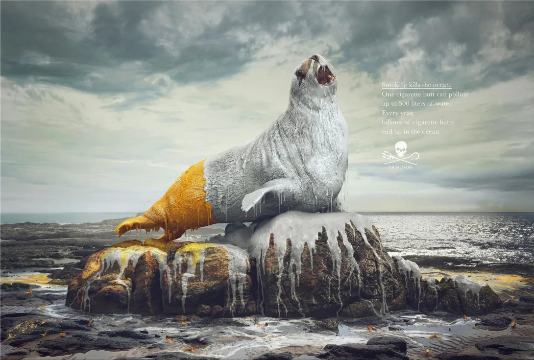 Sea Shepherd ads