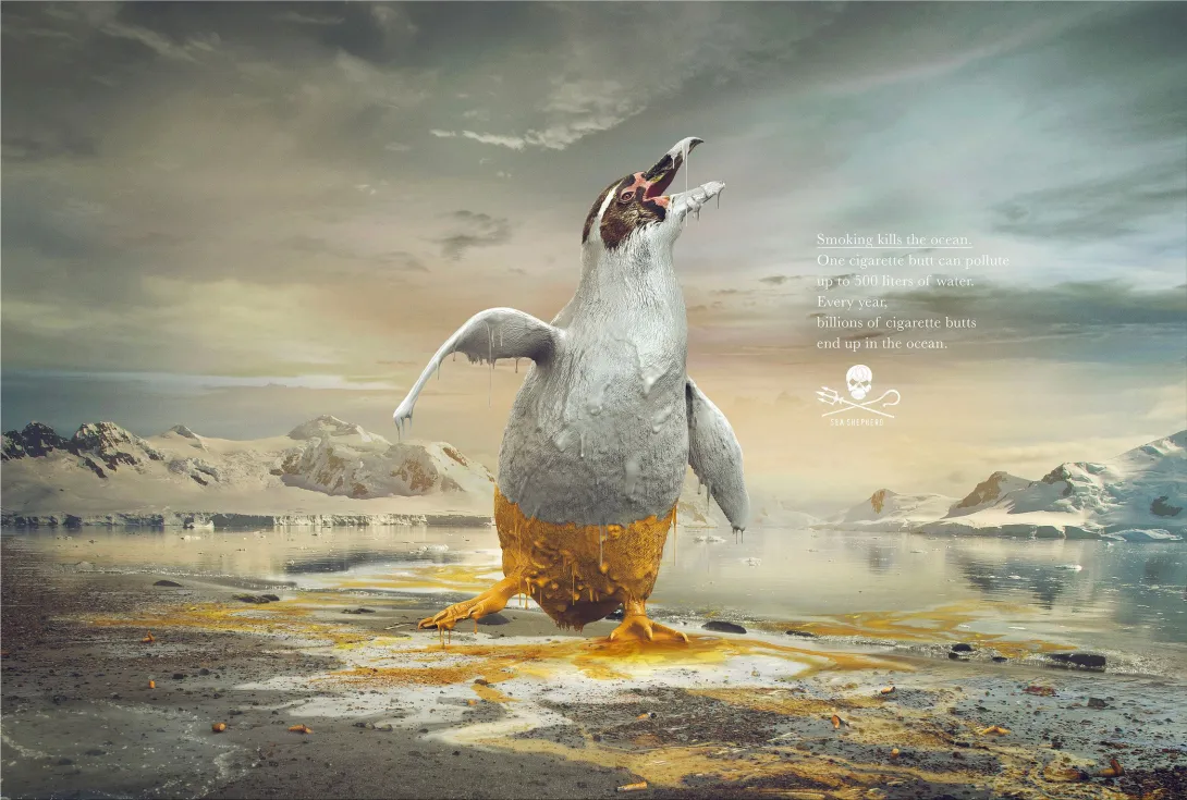 Sea Shepherd ads