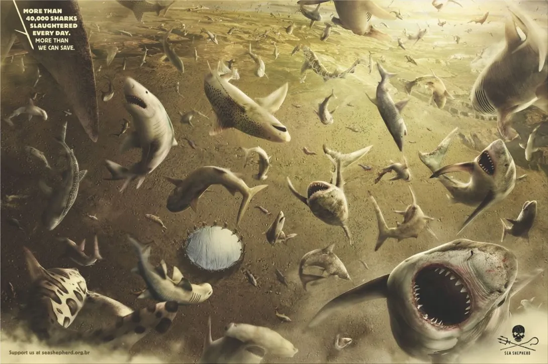 Sea Shepherd print ads