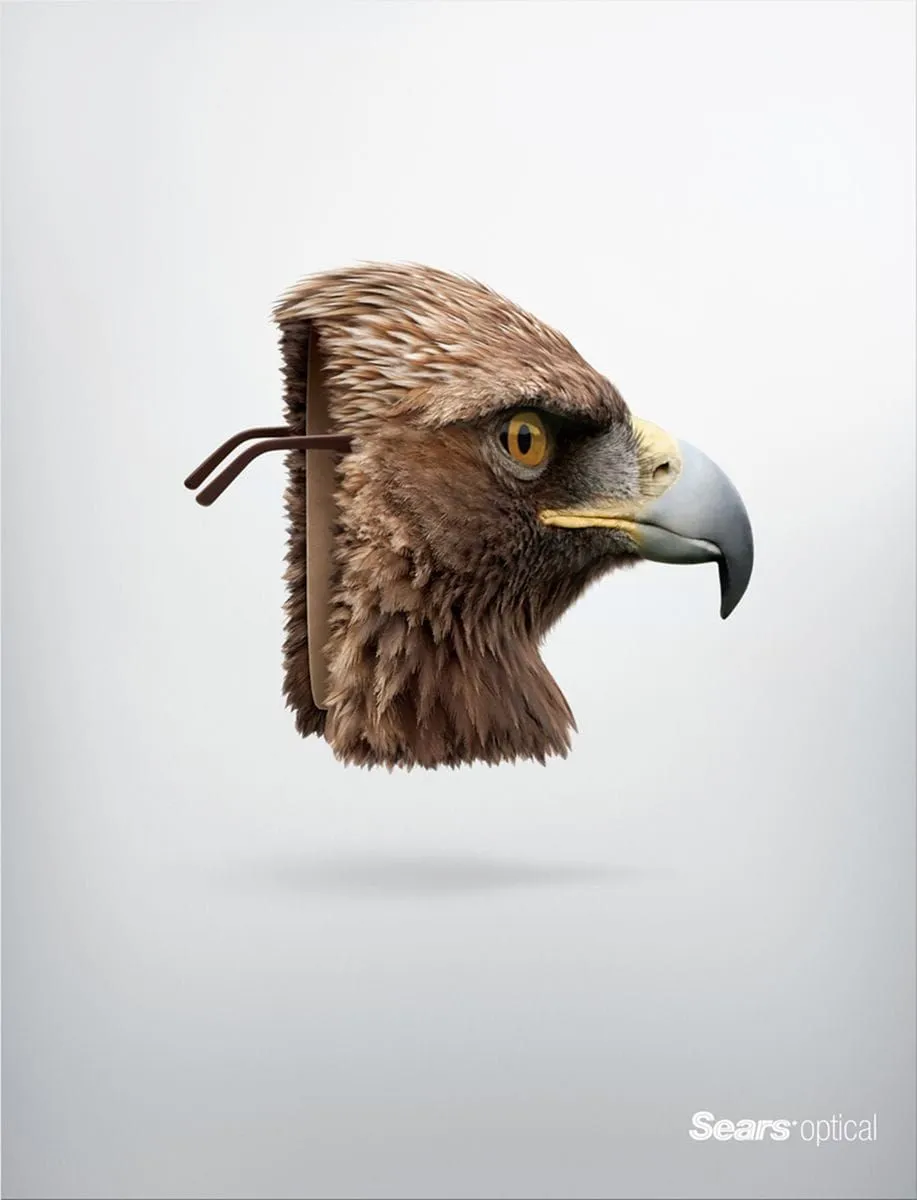 Sears ads