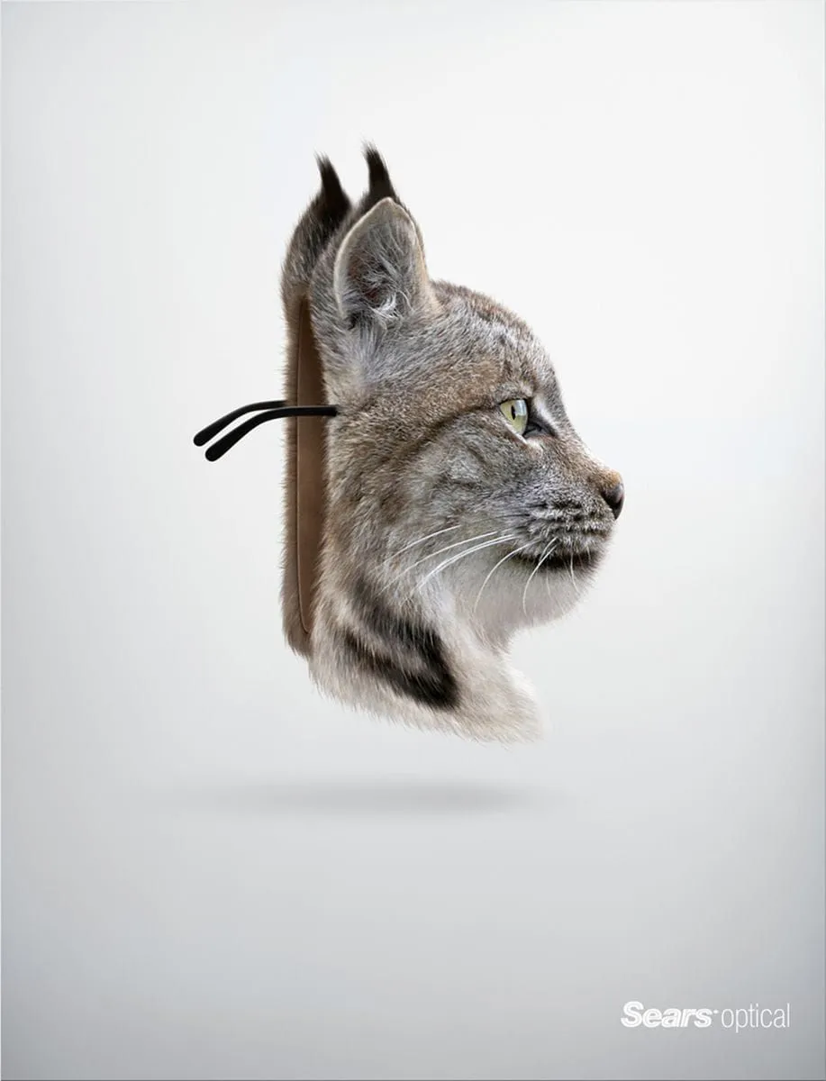 Sears ads