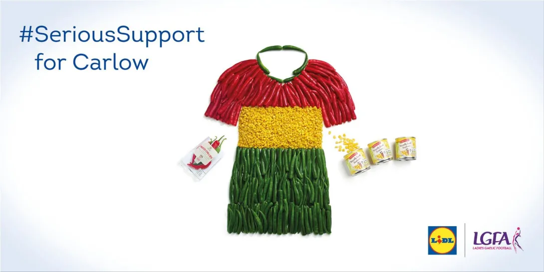 Serious Support for Carlow