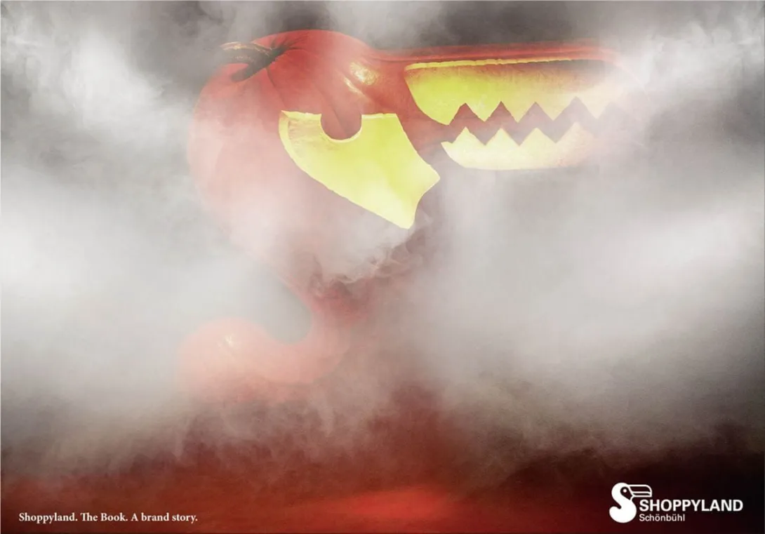 Shoppyland print ads