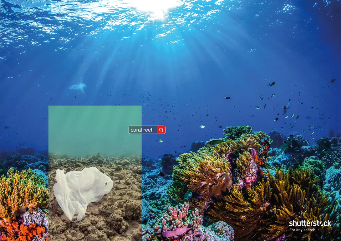 Shutterstock "Tags"