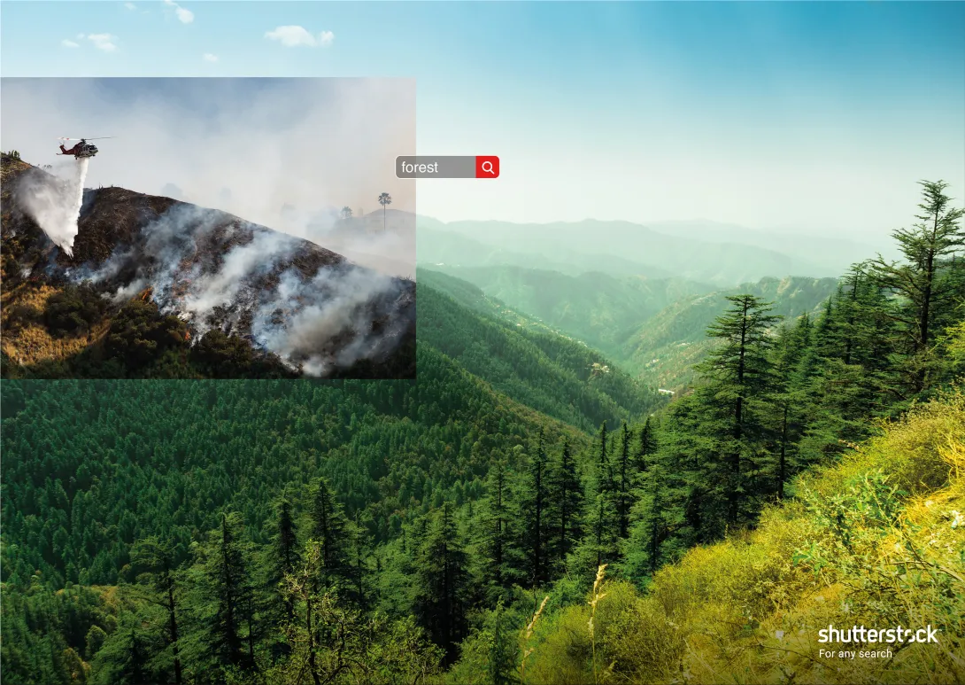 Shutterstock ads