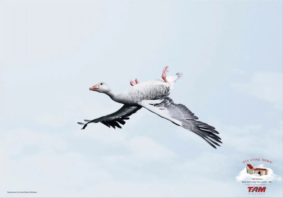 TAM Airlines ads