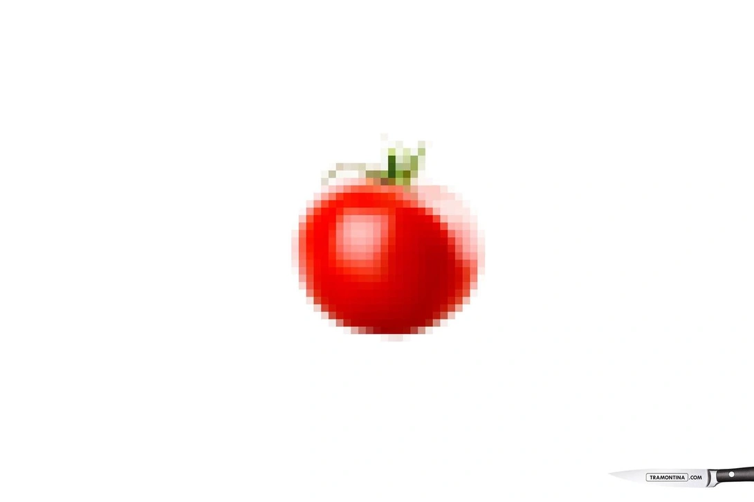 Tramontina.com: Tomato Fish Cheese