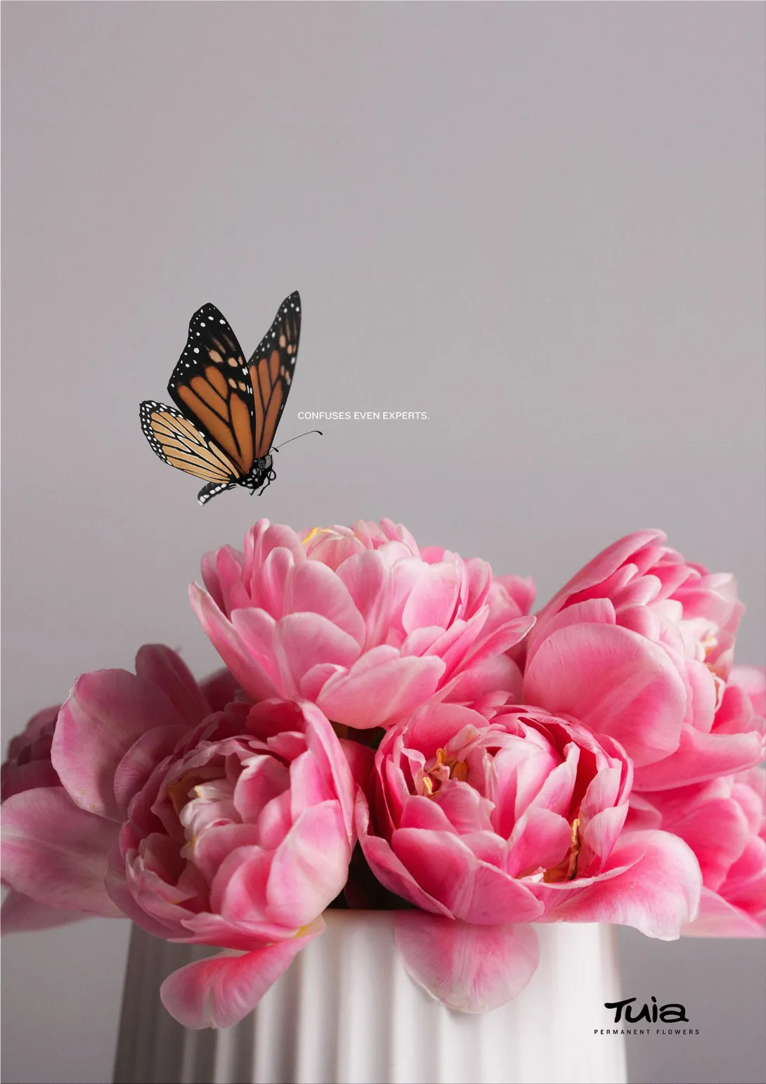 Tuia Artificial Flowers "permanent flowers"