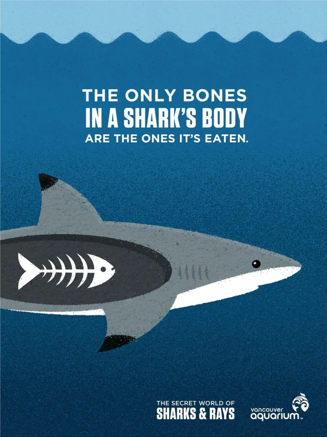 Vancouver Aquarium ads