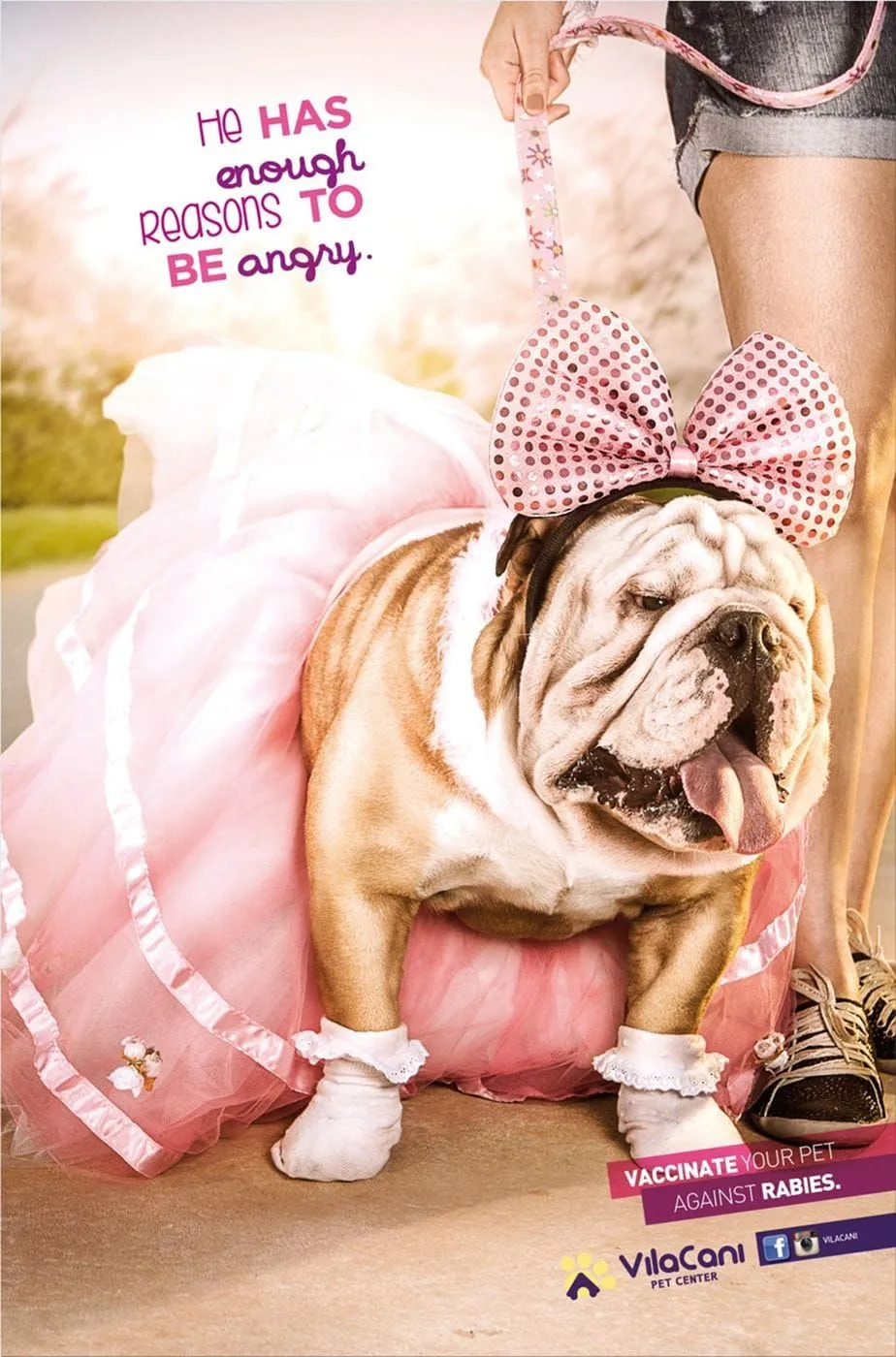 Villa Cani Pet Center ads