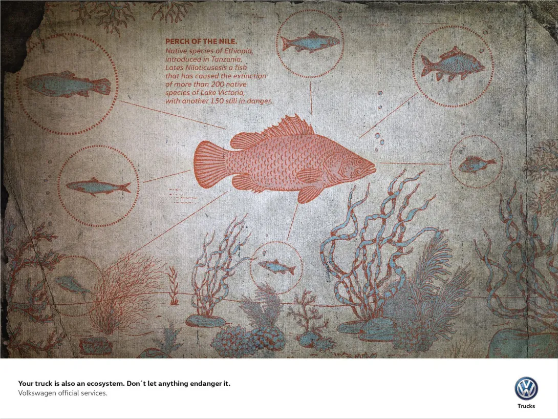 Volkswagen "Your truck is also an ecosystem"