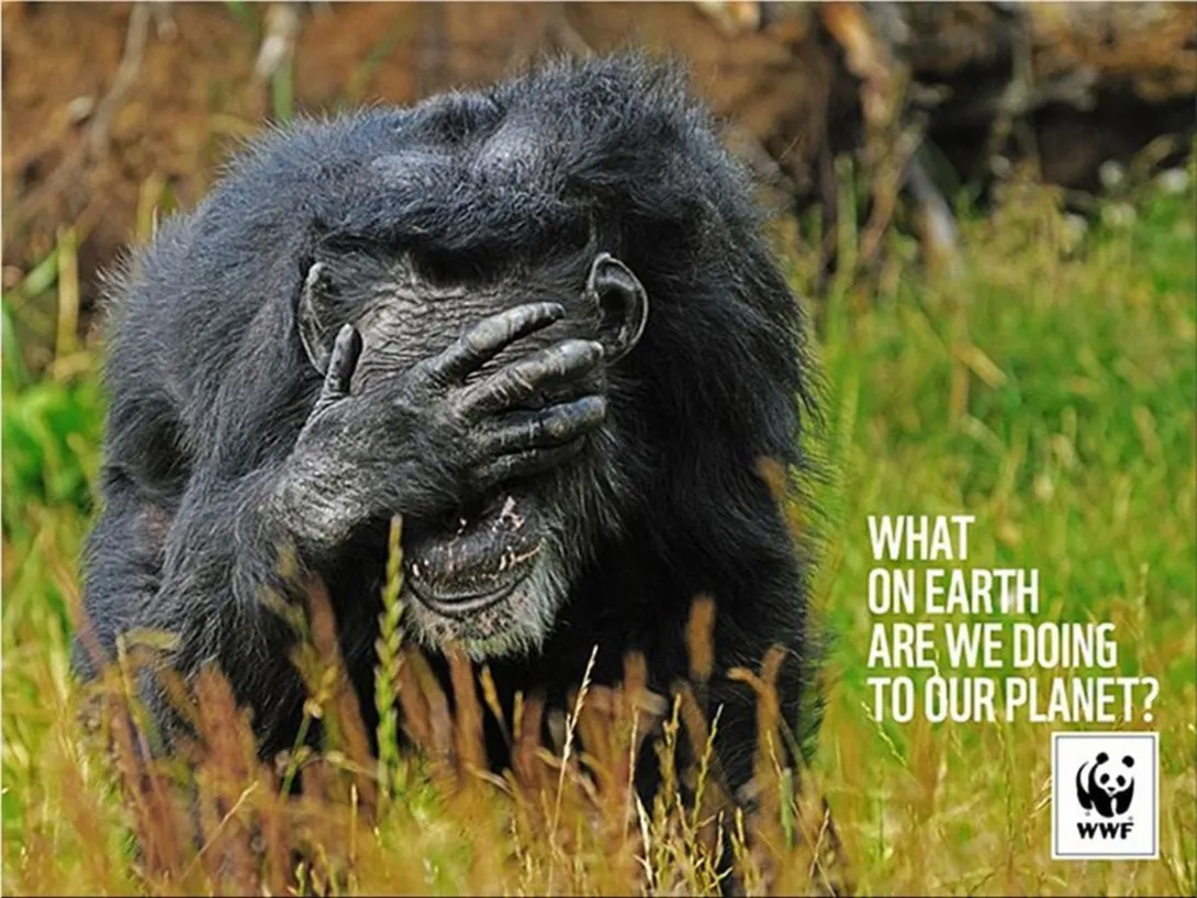 WWF print ads