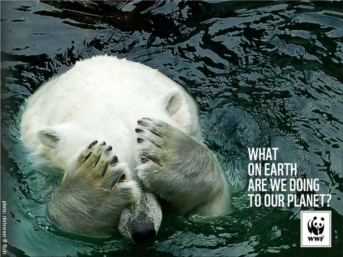 WWF ads