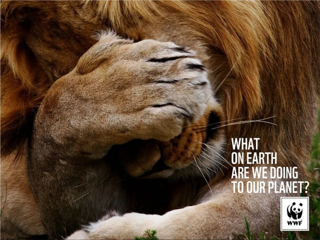 WWF print