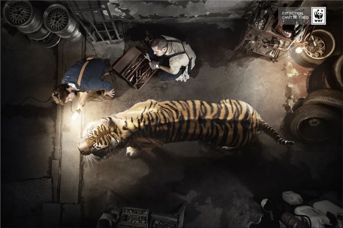 WWF