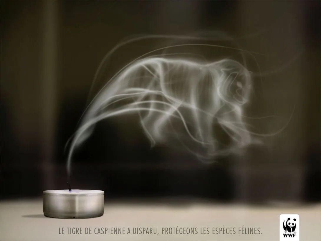 WWF print ads