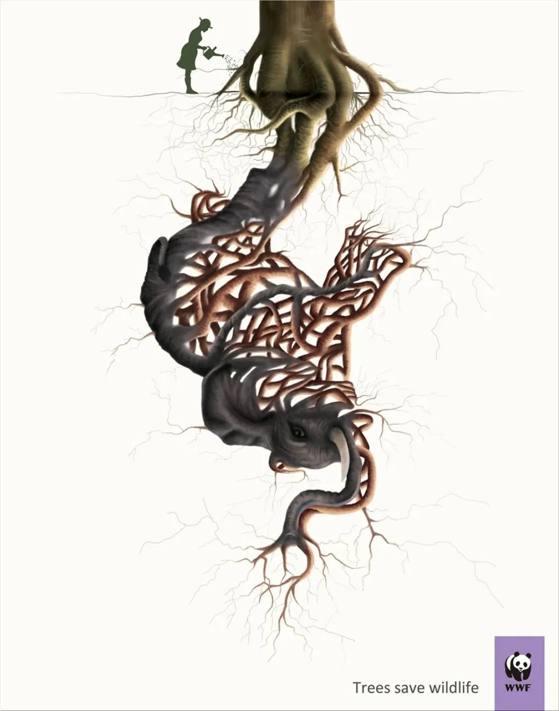WWF print ads