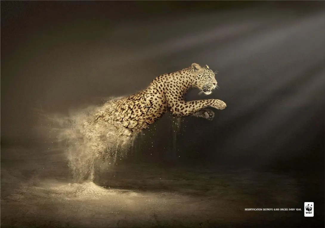 WWF print