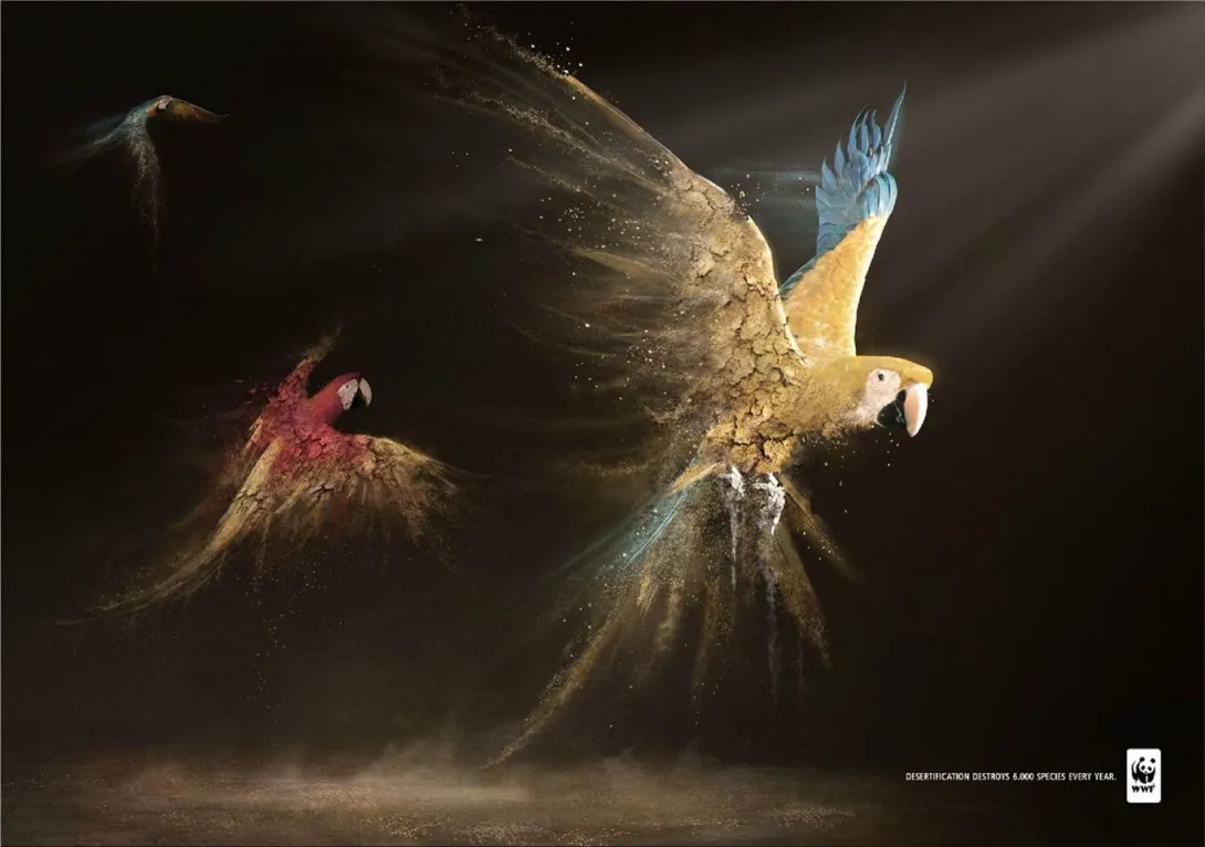 WWF ads