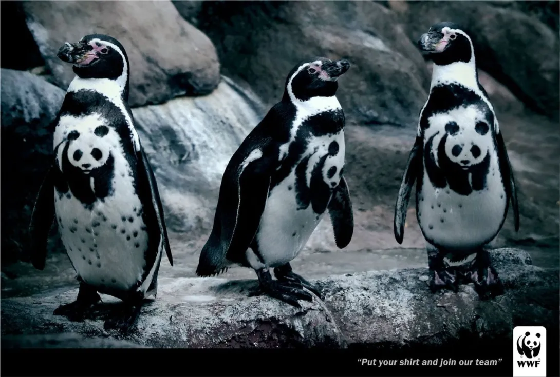 WWF print
