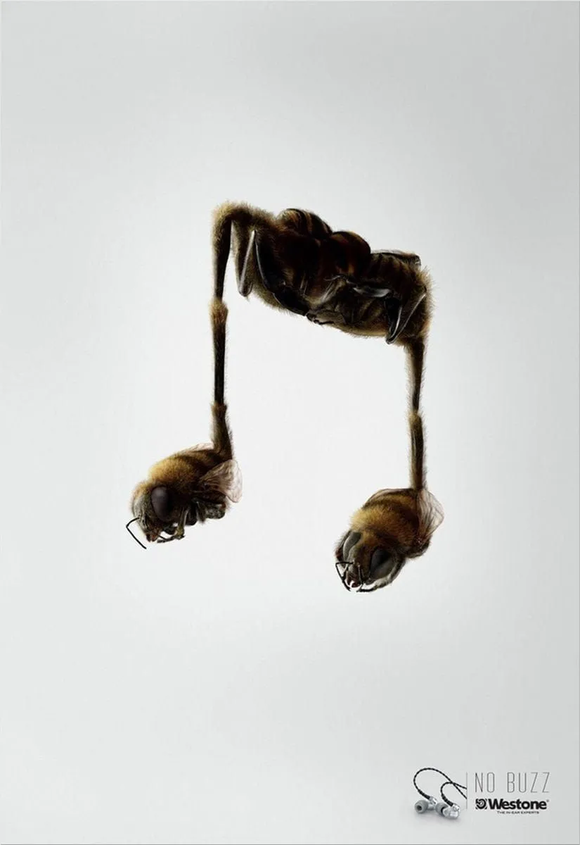 Westone Earphones