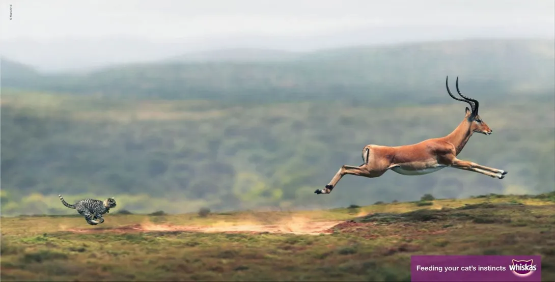 Whiskas cats ads