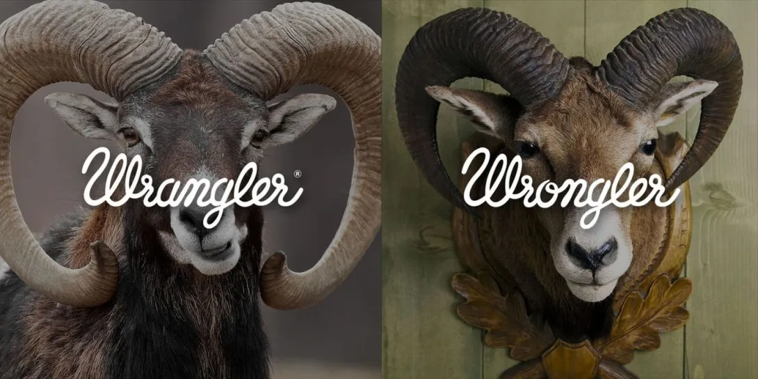 Wrangler Europe vs Wrongler