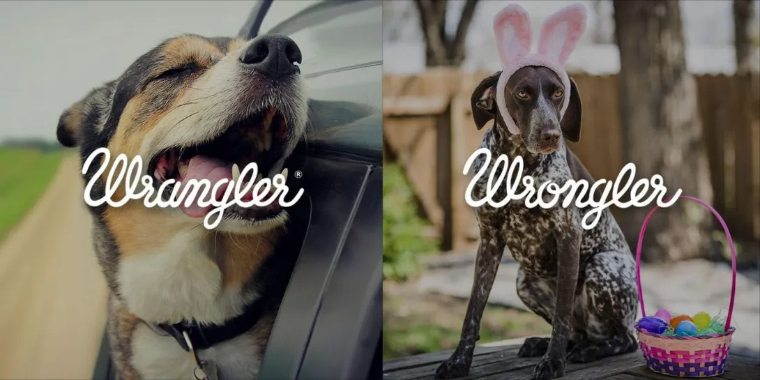 Wrangler Europe vs Wrongler