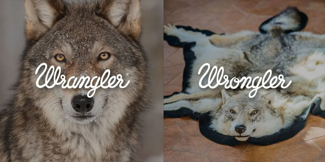Wrangler Europe vs Wrongler