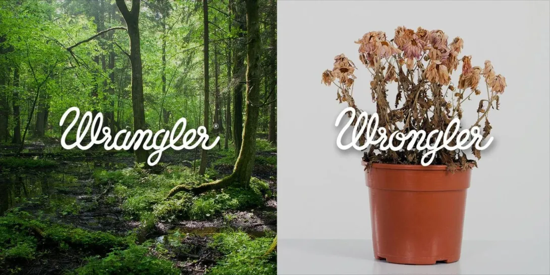 Wrangler Europe vs Wrongler
