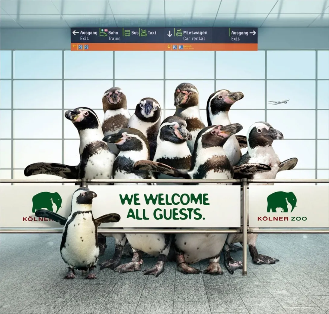 Zoo Cologne ads