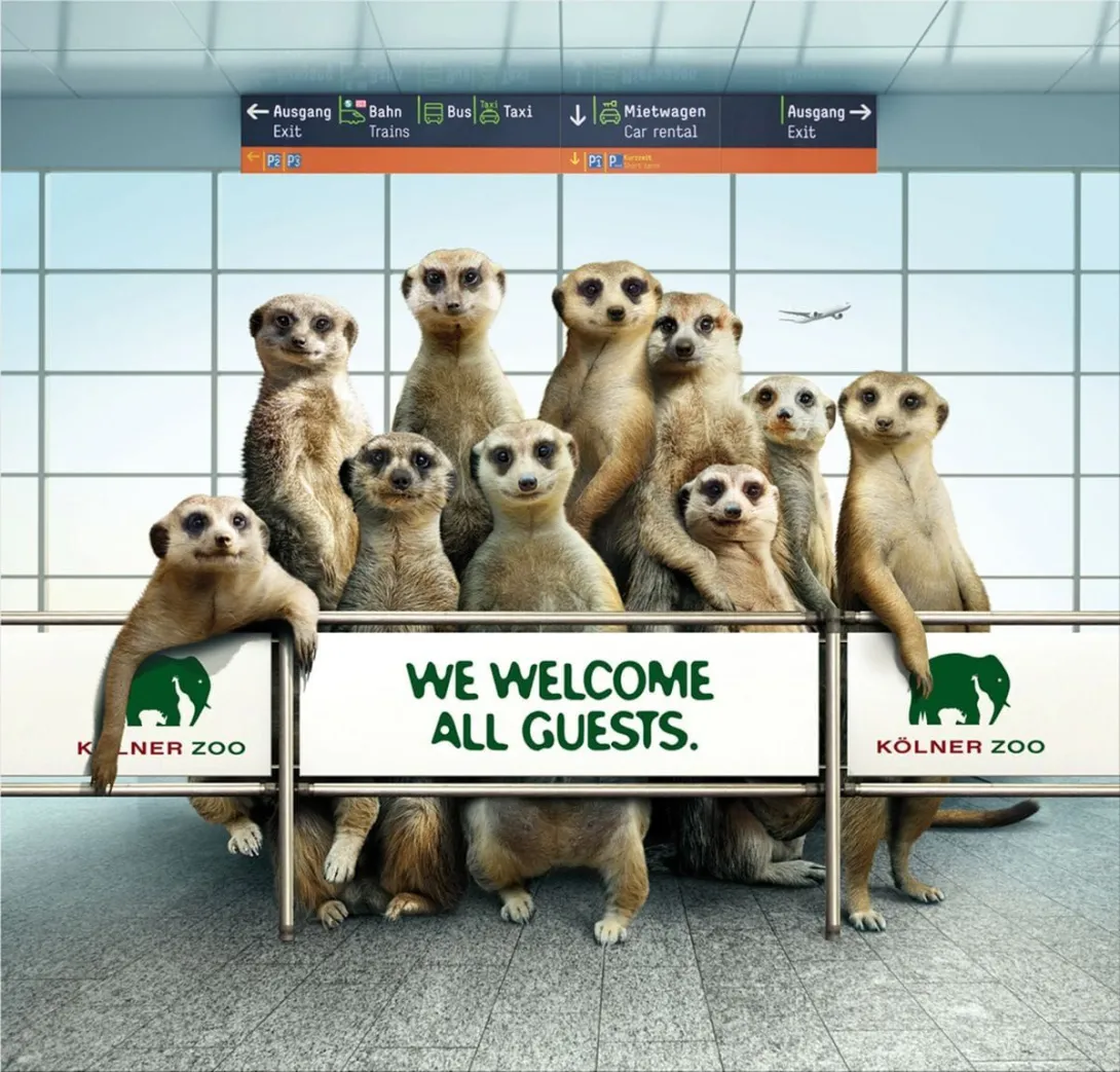 Zoo Cologne ads