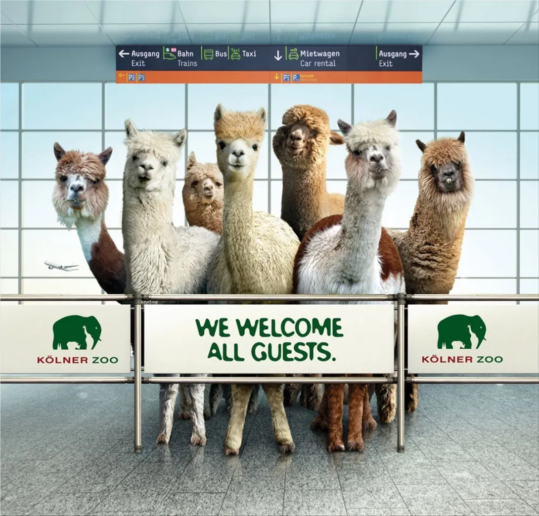 Zoo Cologne ads