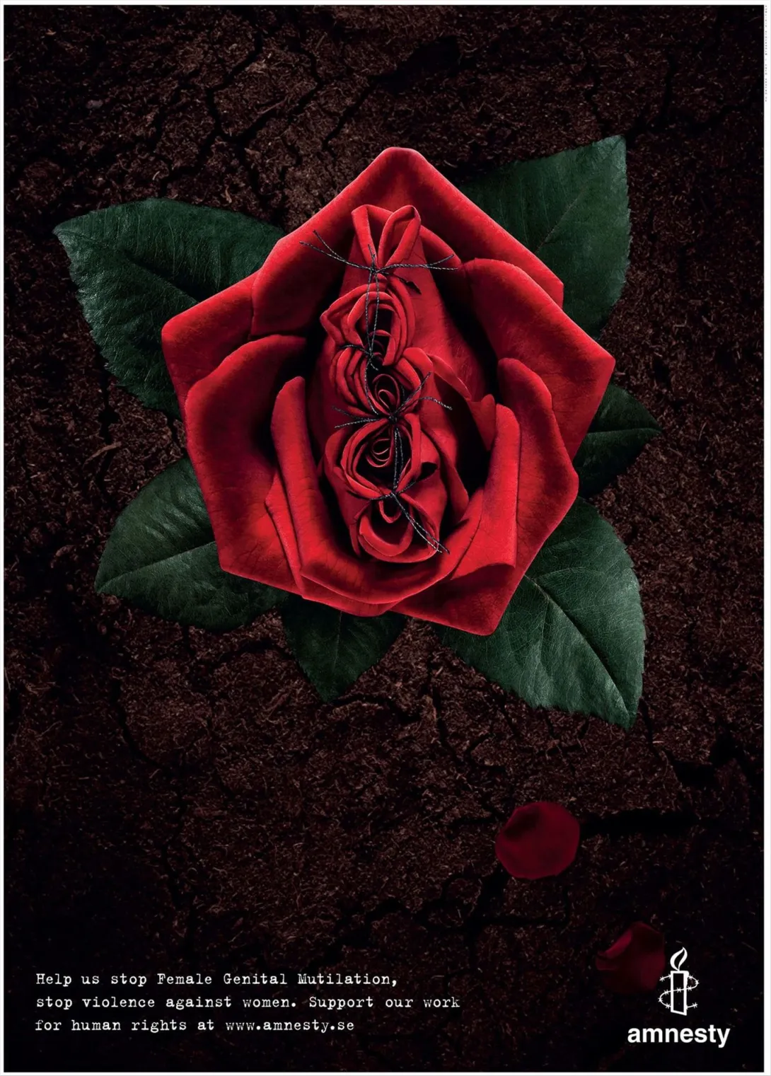 Amnesty International