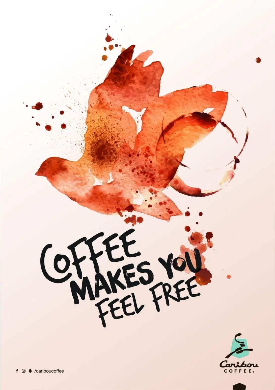 Caribou Coffee