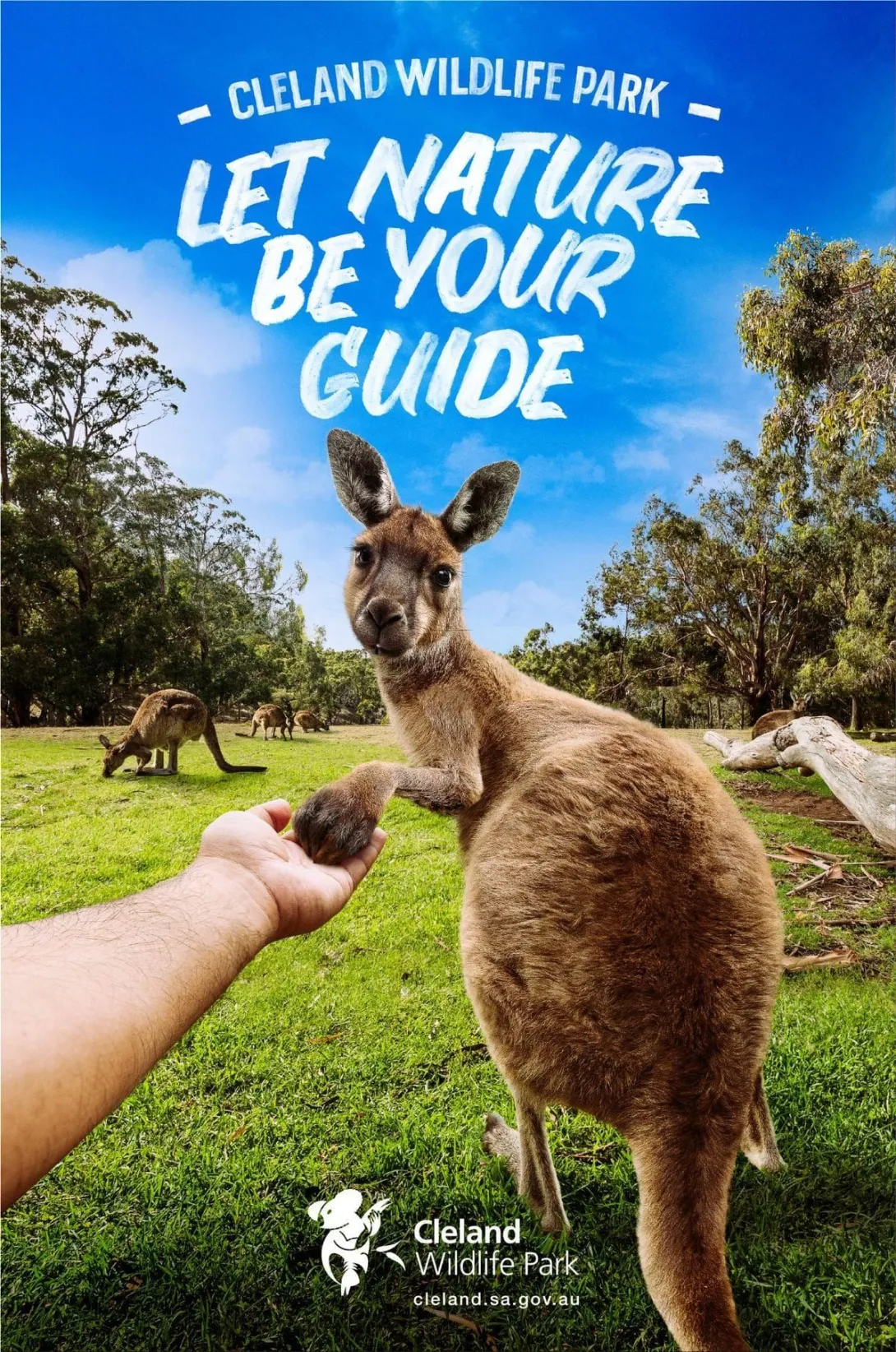 Cleland Wildlife Park