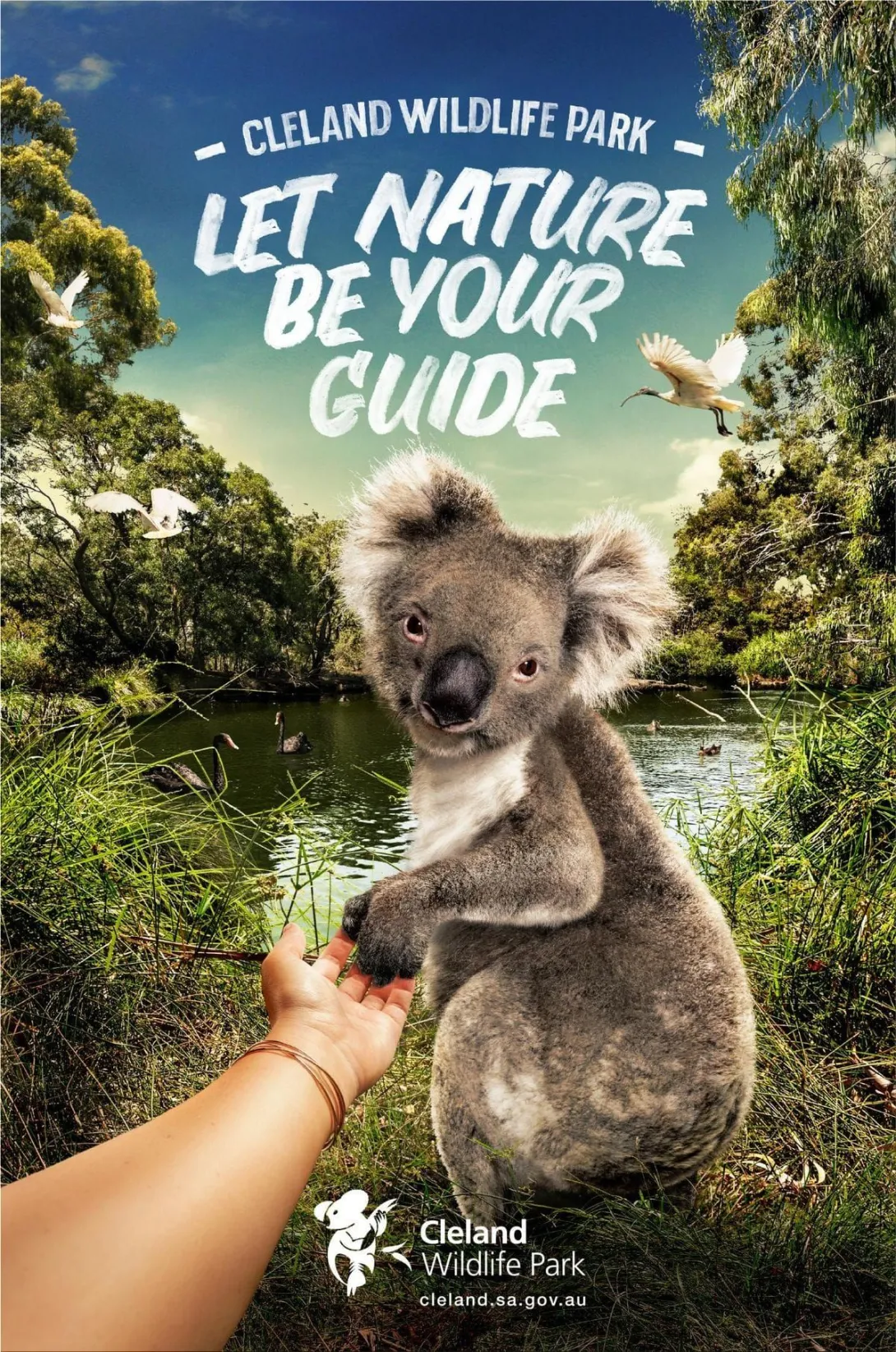Cleland Wildlife Park print