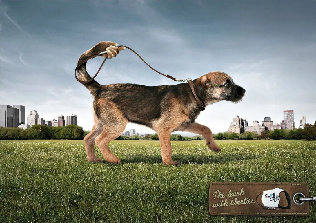 dog ads