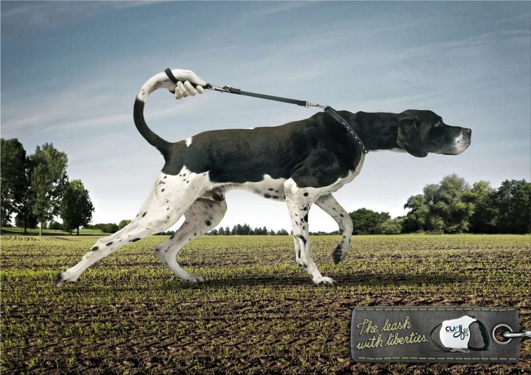 dog ads