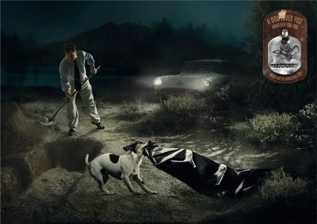 dog ads
