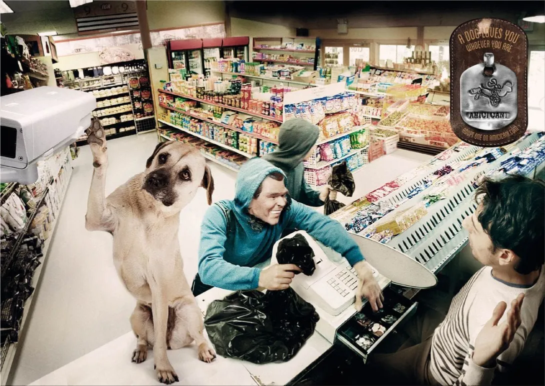 dog ads