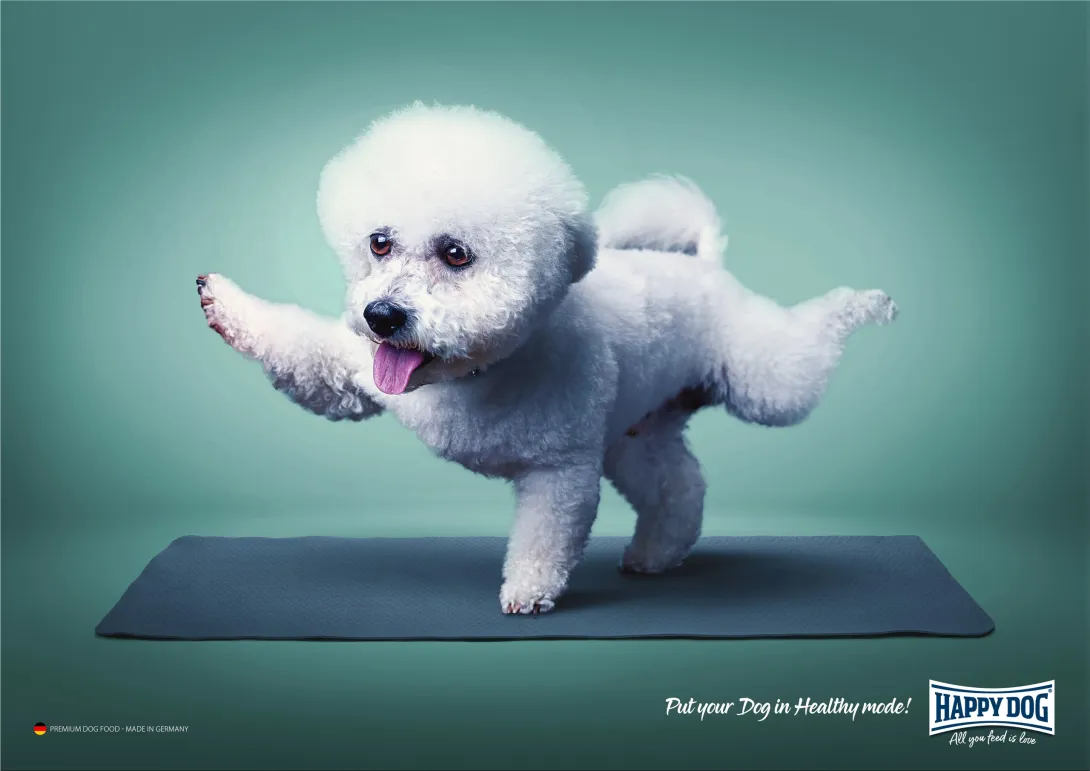 Happy Dog "Put your Dog in Healthy mode!"
