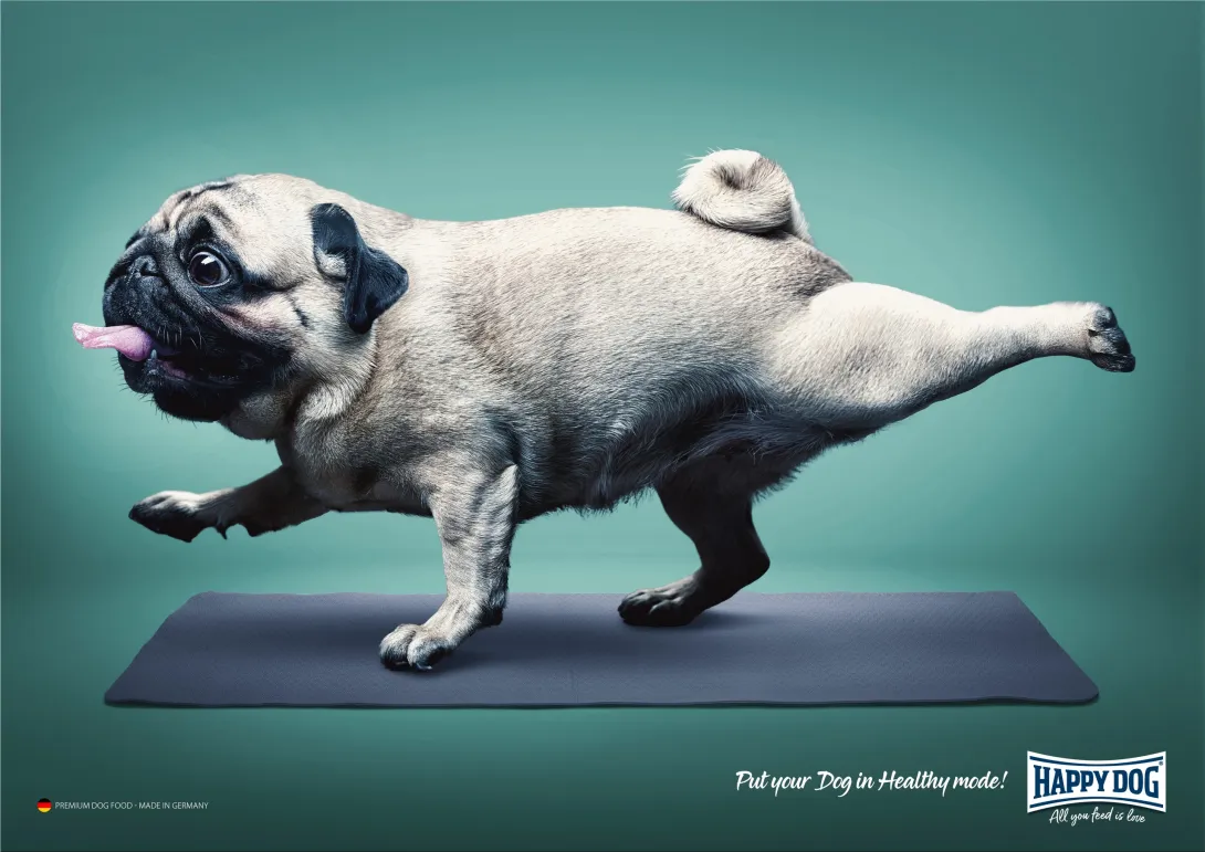 Happy Dog "Put your Dog in Healthy mode!"