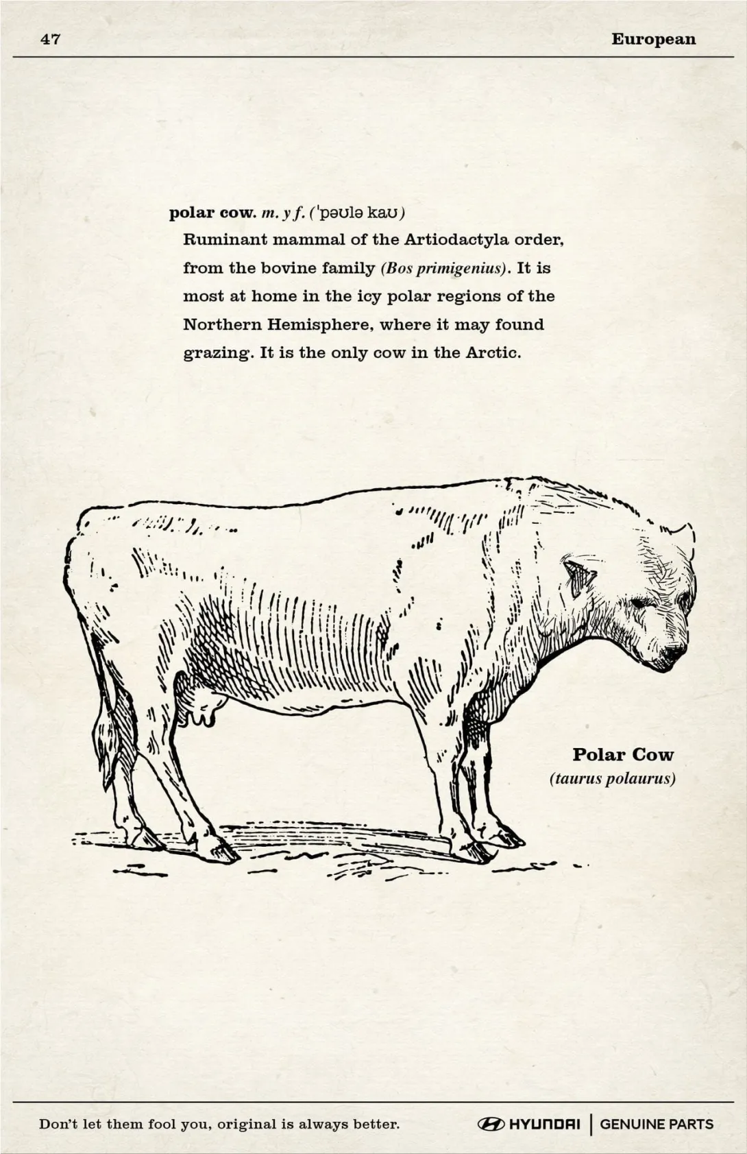 Hyundai- anteater dog & polar cow