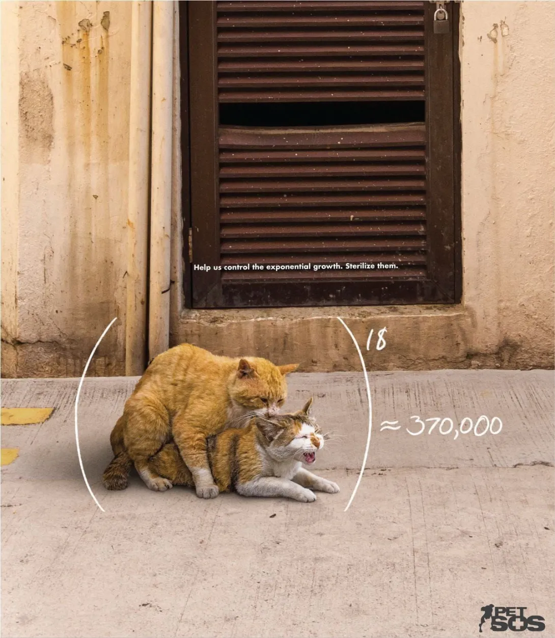 Pet SOS